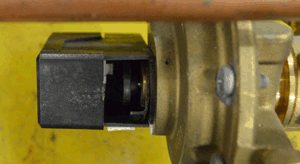 sm friendly format dv in situ.gif